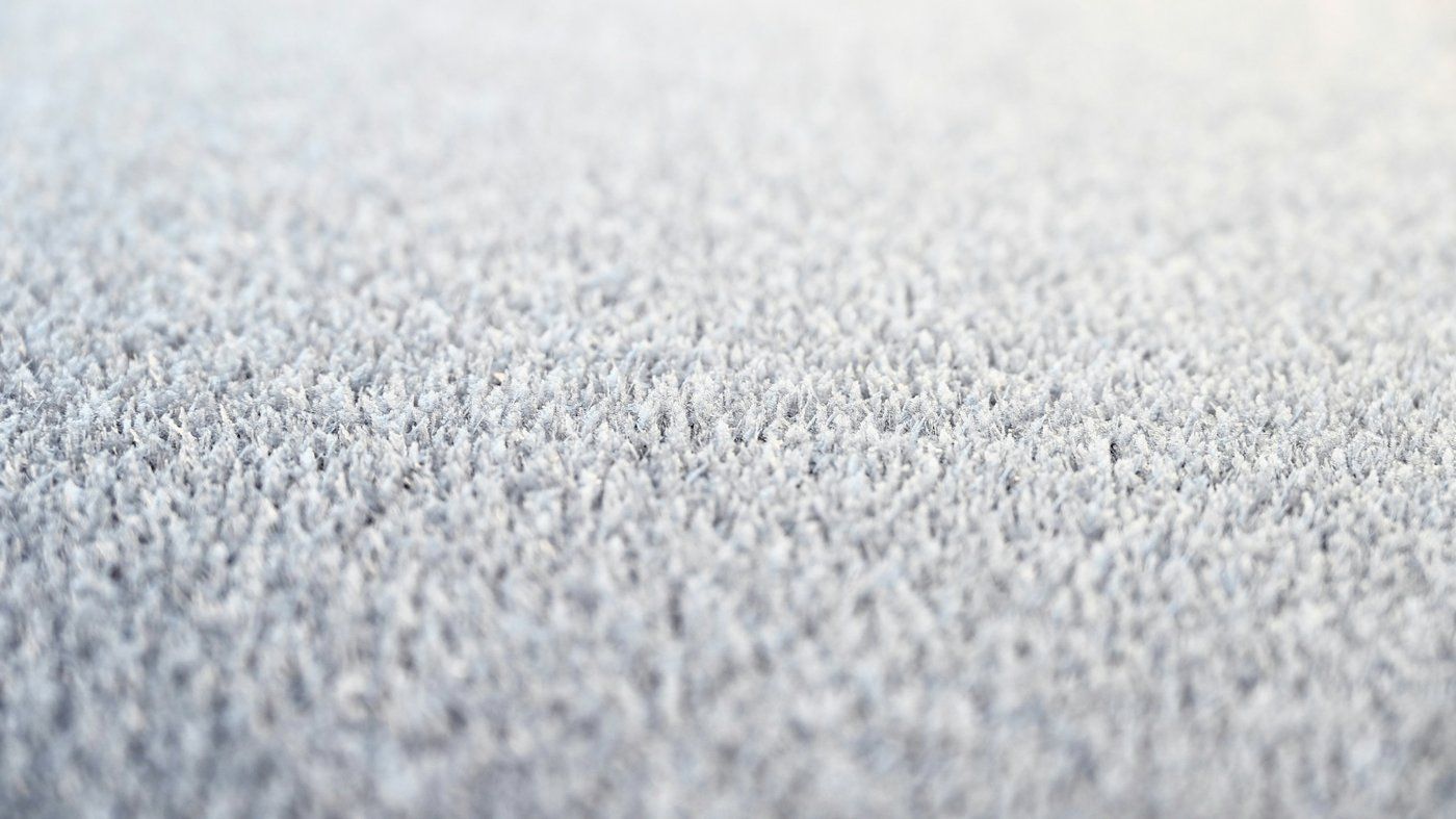 Close-up of the pile of an ivory carpet in raking light